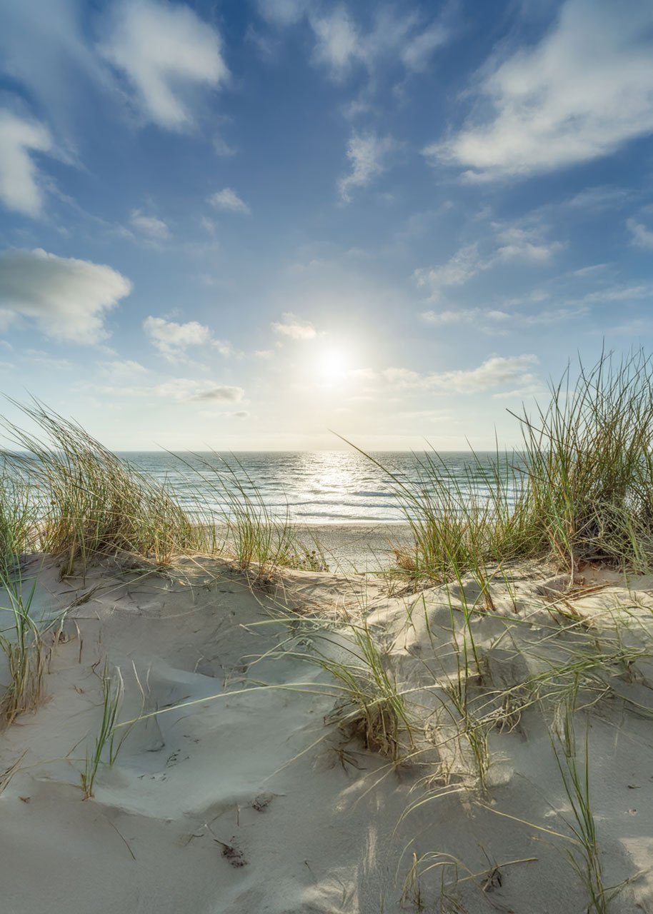Lakeshore Sunrise Over Sandy Beach - Portrait