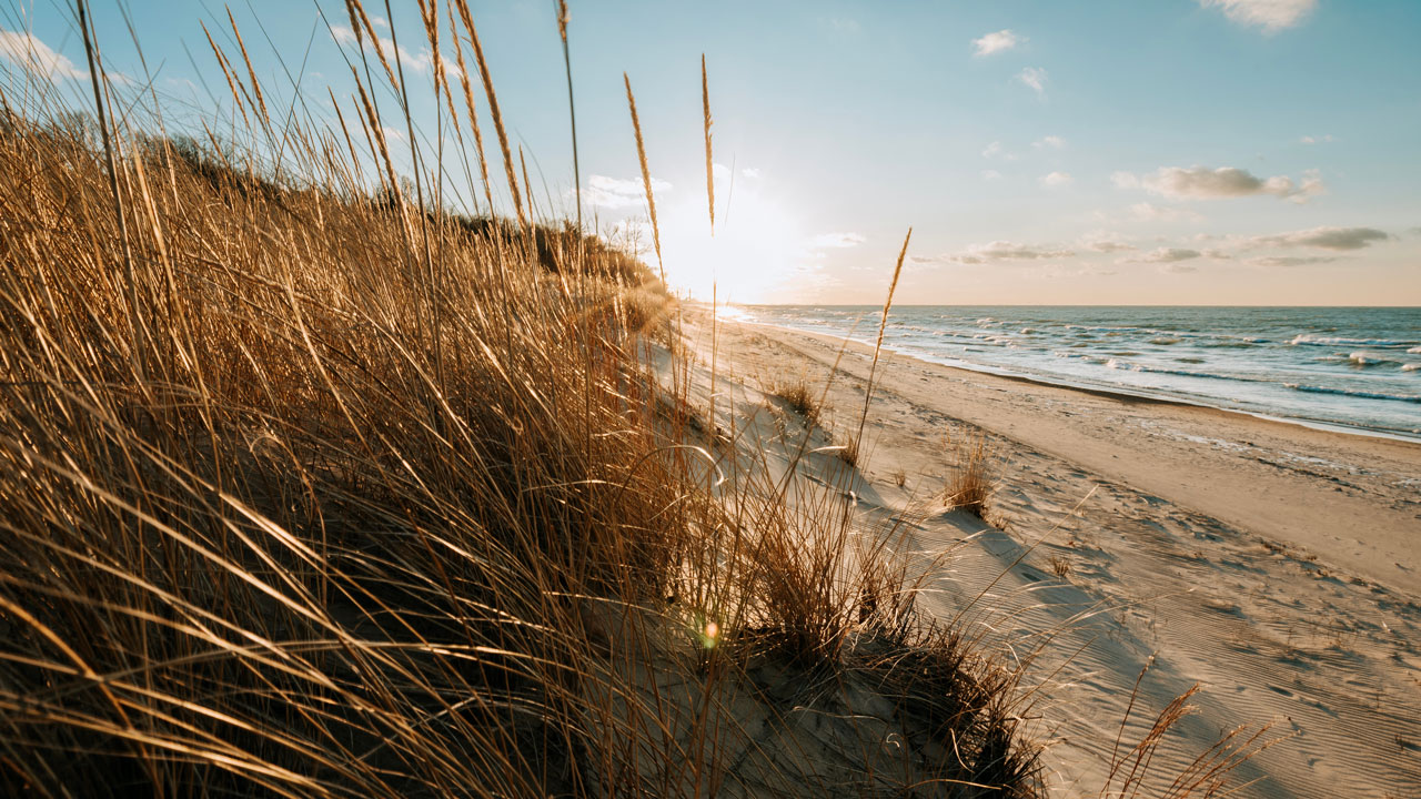 Sandy Beach In West Michigan